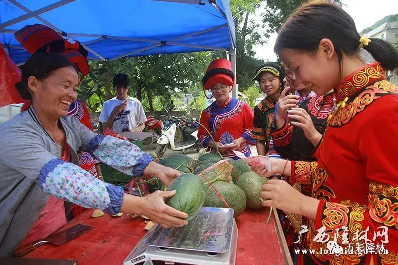 哈密养殖场转让信息_新疆哈密养猪场_新疆哈密养殖致富