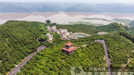 “三峡橘海”激活乡村旅游 生态种植种出“致富果”