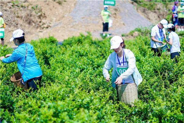 致富种植山莓视频_山莓种植基地_山莓种植致富