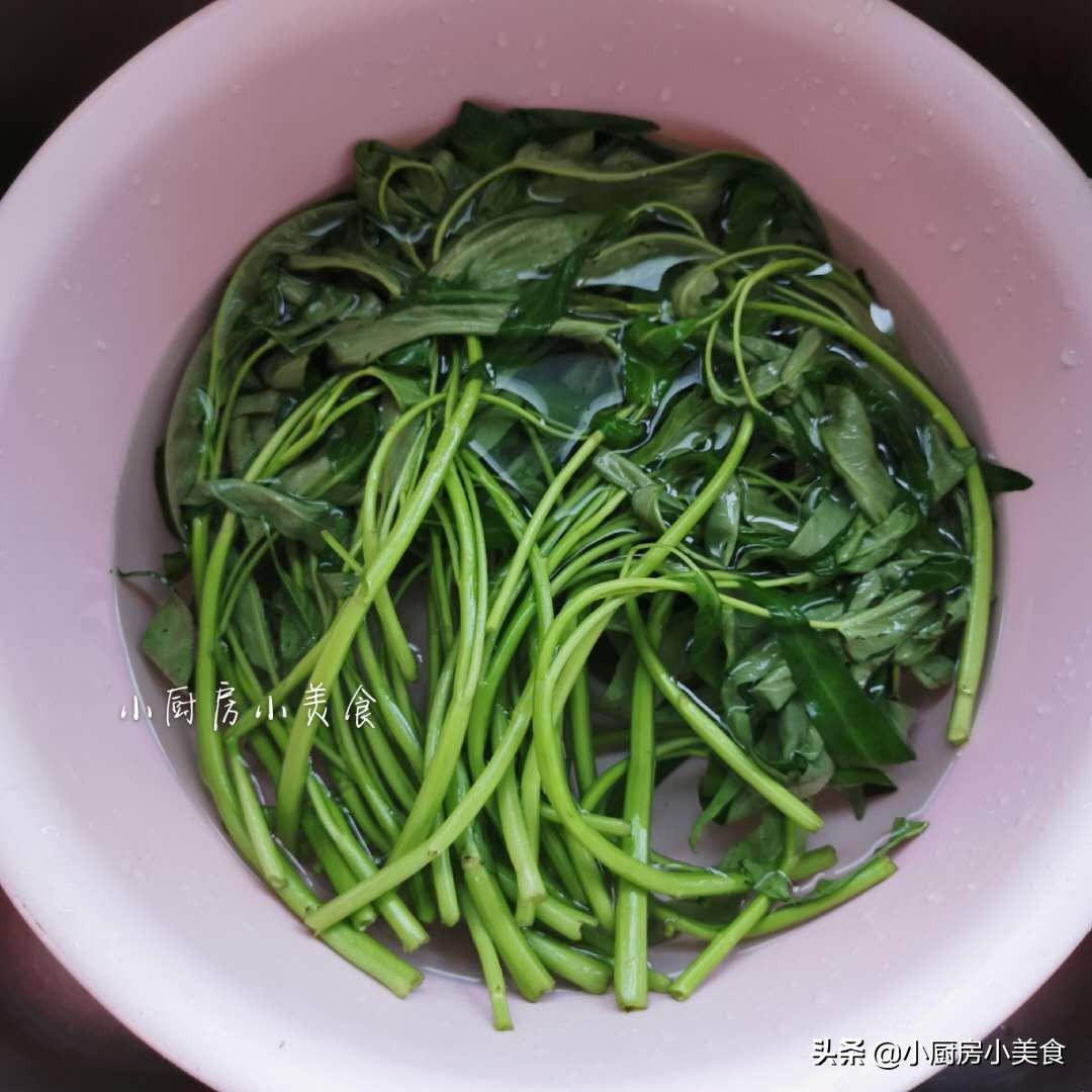 空心菜冬天室内种植技术_冬季种空心菜十搭建图_冬天种植空心菜适应温度