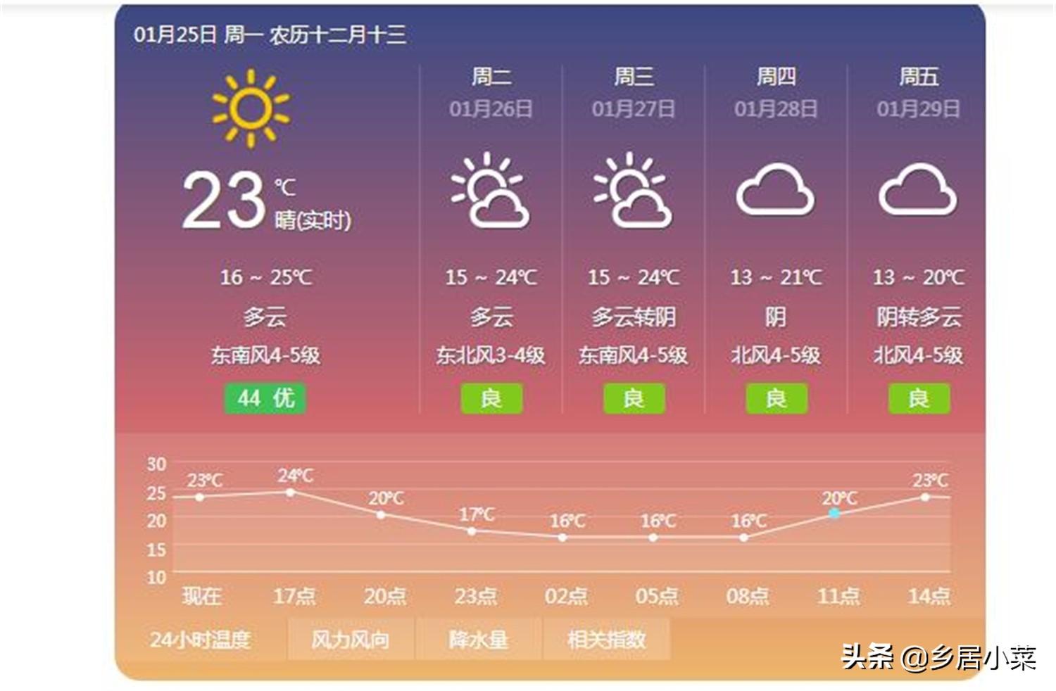 冬季空心菜种植技术视频_冬季种空心菜赚钱吗_空心菜冬天室内种植技术