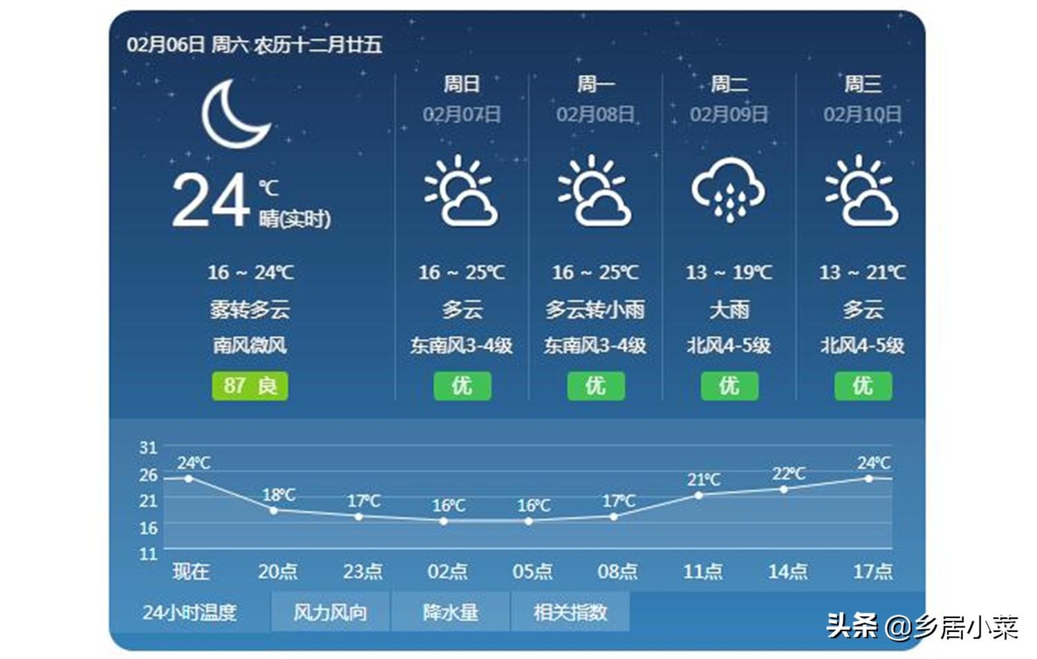 冬季空心菜种植技术视频_空心菜冬天室内种植技术_冬季种空心菜赚钱吗