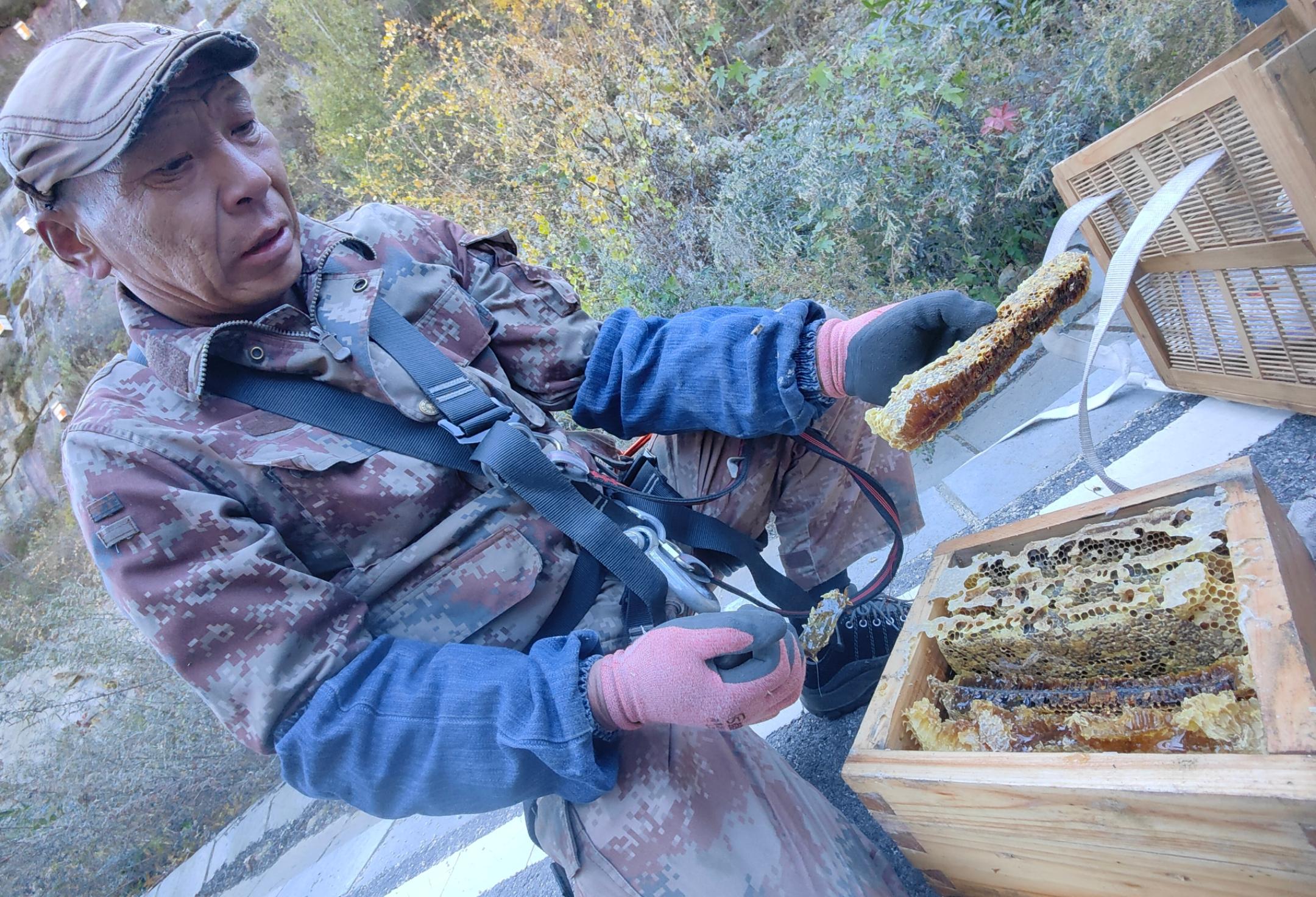 悬崖蜜蜂养殖视频_致富经石崖上养蜜蜂_山崖蜜蜂