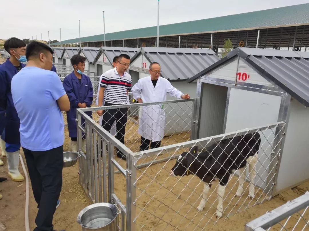 委员风采|李宏伟：让科技助力畜牧业带动乡亲精准脱贫