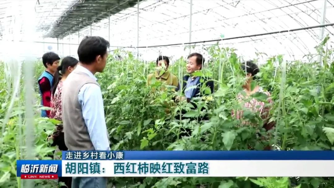 农村种植致富好项目_大埔种植致富项目_孝感农业致富种植各种水果网