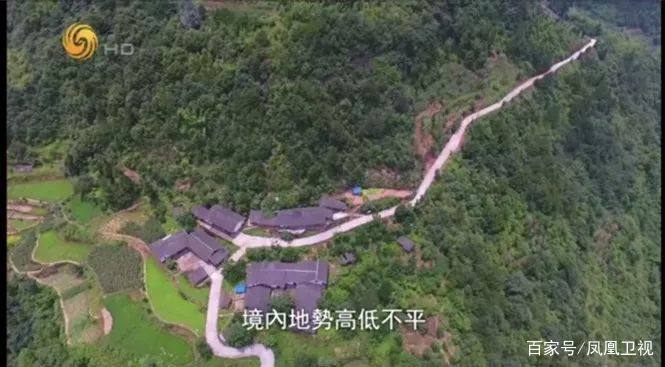 赤水养殖鸡致富_赤水乌鸡养殖基地_赤水养殖业
