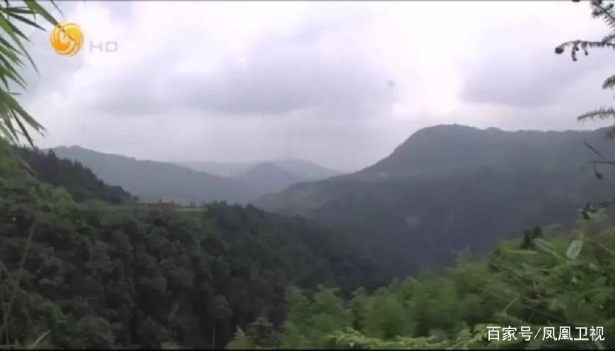 赤水养殖业_赤水乌鸡养殖基地_赤水养殖鸡致富