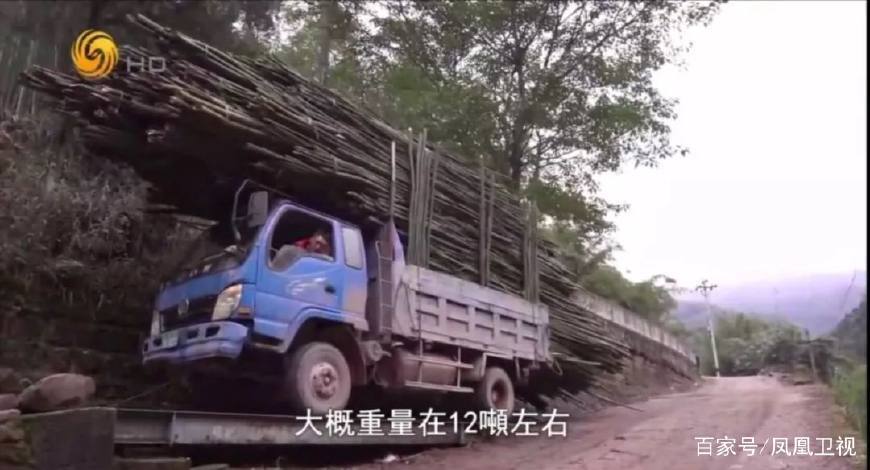 赤水养殖鸡致富_赤水乌鸡养殖基地_赤水养殖业