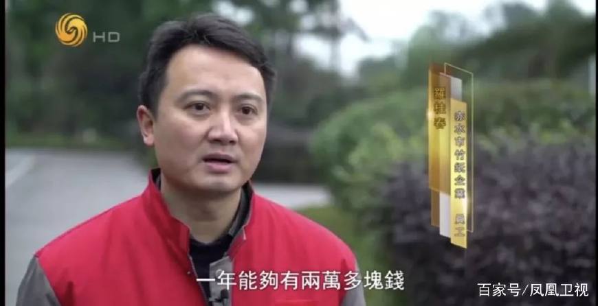 赤水养殖业_赤水养殖鸡致富_赤水乌鸡养殖基地