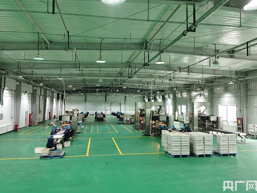 养殖致富网视频_堂哥养殖致富视频_养殖视频致富经