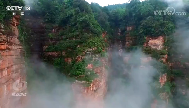 赤水乌鸡养殖基地_赤水养殖鸡致富_养殖鸡致富经视频