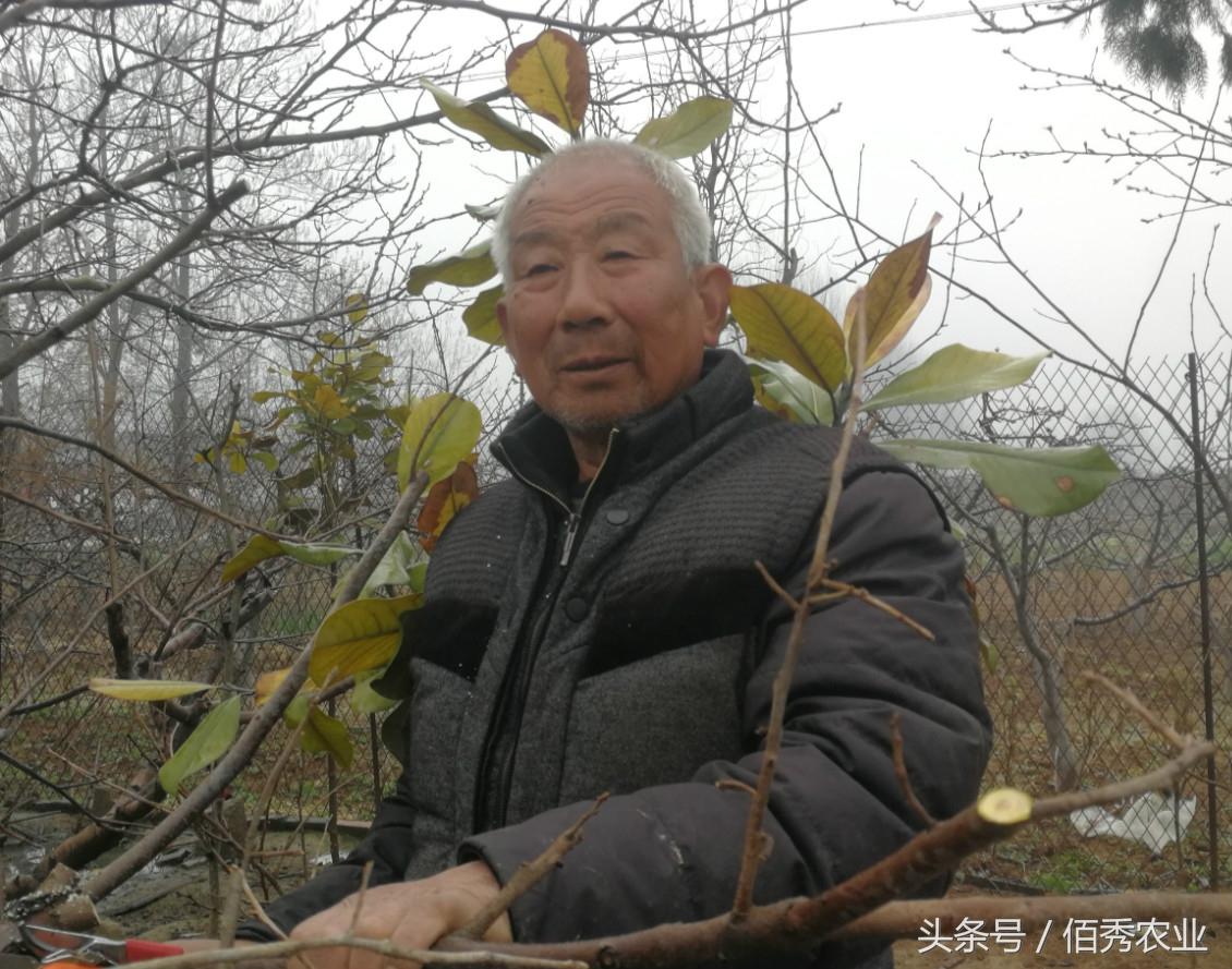 经济致富庭院_庭院种植致富案例_庭院经济致富案例