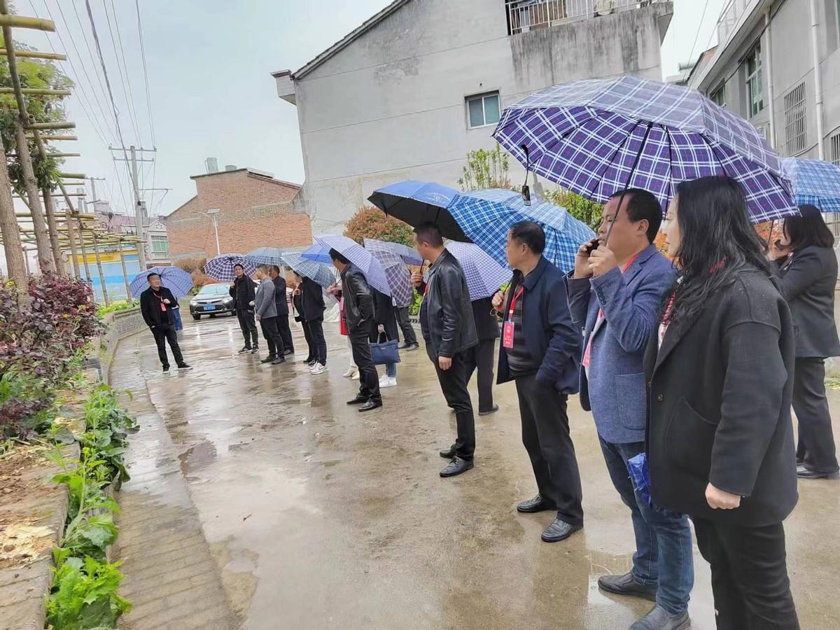 小庭院养殖致富案例_经济致富庭院_庭院种植致富案例