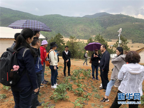 全国知名中医药专家组队调研康美药业道地药材种植基地