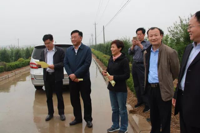 种植榛子的经济效益怎么样_致富种植榛子视频_致富经种植榛子