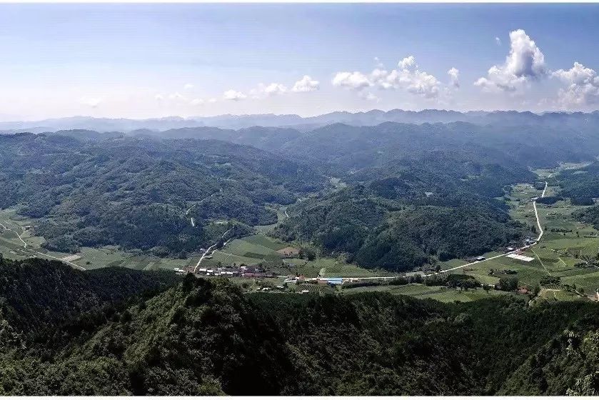 种植榛子的经济效益怎么样_致富经种植榛子_致富种植榛子视频