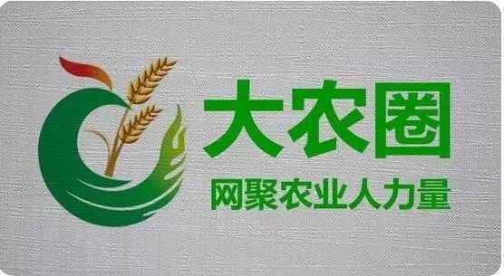 最适合在我国种植的7种坚果树！易种植、赚钱多！