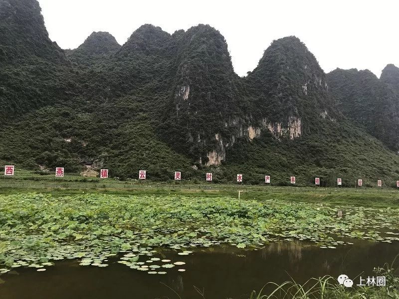 致富淡水养殖项目_致富淡水养殖项目介绍_致富淡水养殖项目有哪些