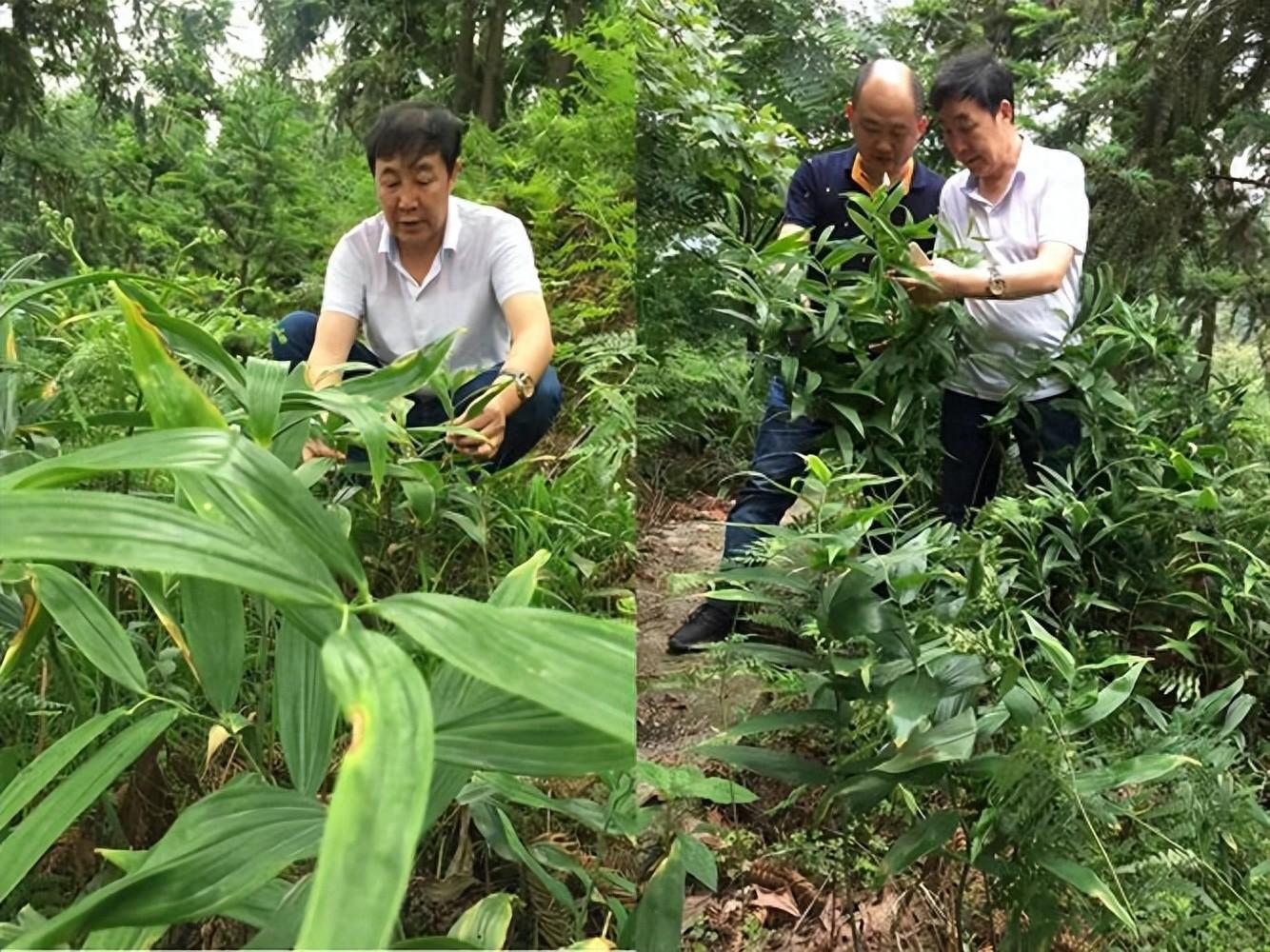 养殖致富项目 家庭_致富养殖家庭项目名称_致富养殖家庭项目有哪些