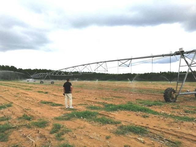 豆类栽培技术_种植大豆视频_地豆种植技术视频