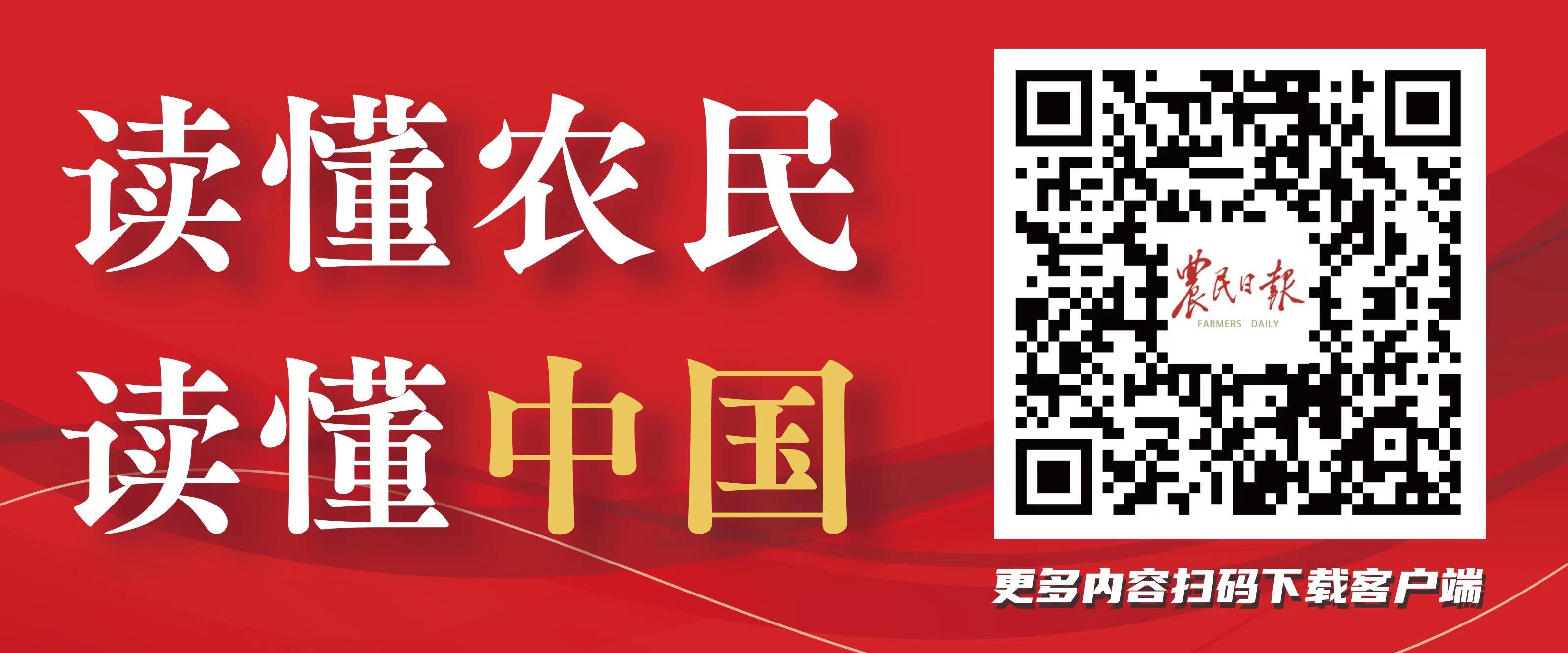 最新蛋鸡养殖技术视频_想养蛋鸡养殖技术_蛋鸡养殖关键技术