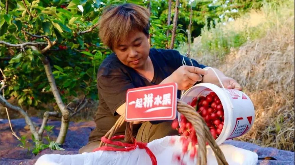 不输进口车厘子，国产大樱桃“红”了山东烟台小镇