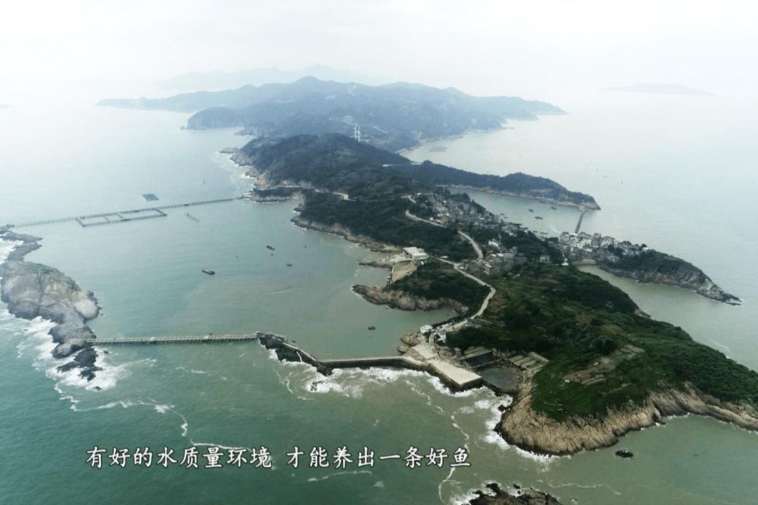 致富养殖业_养殖致富项目 家庭_致富养殖家庭项目介绍