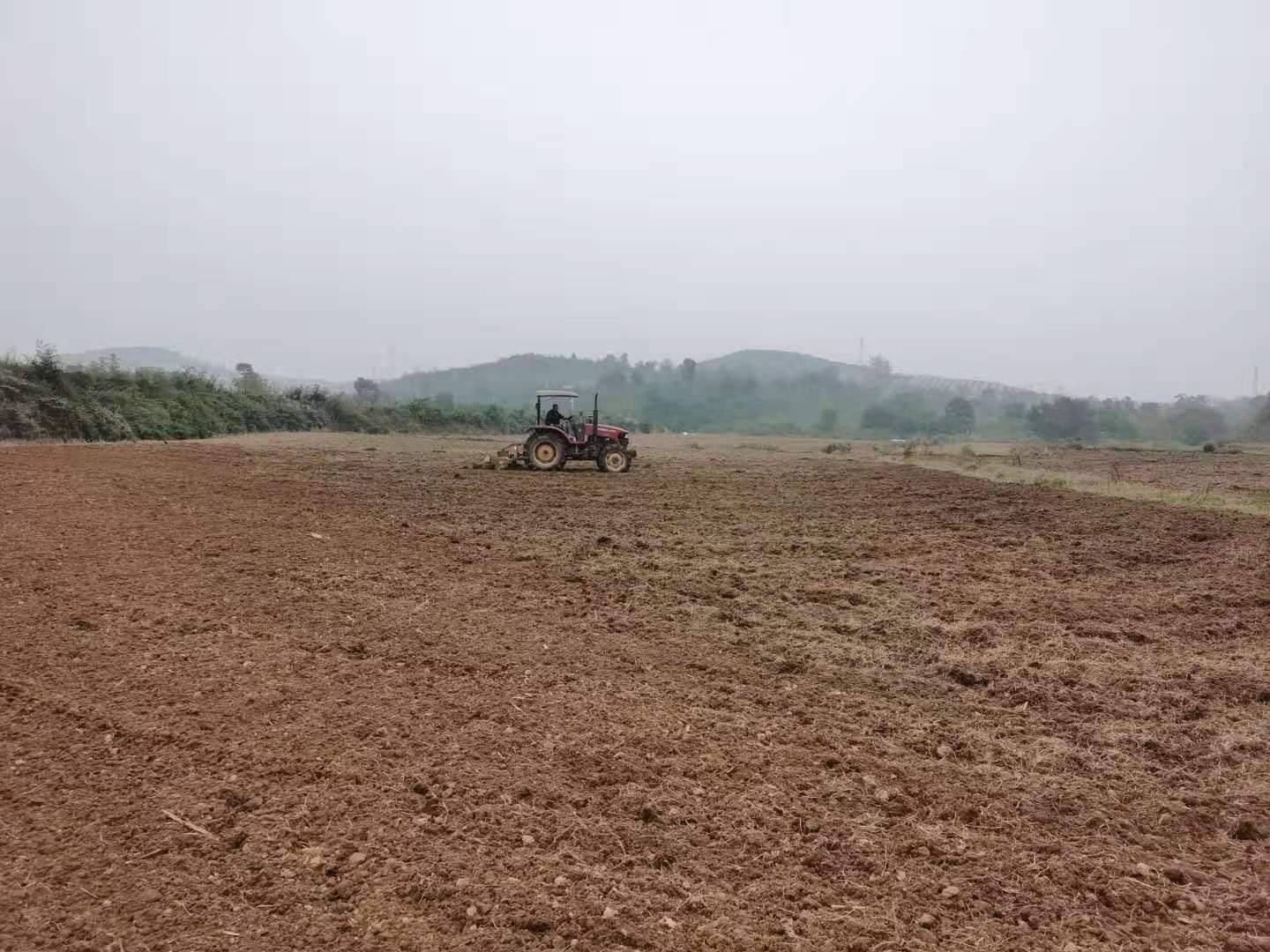 致富办厂新项目_致富办厂项目_厂房种植致富项目