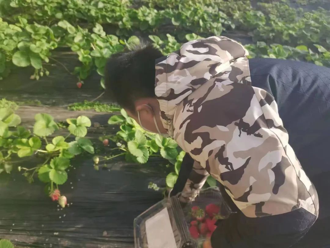 温室种植花的创业计划书_温室种植致富新闻_湖州市温室甲鱼致富