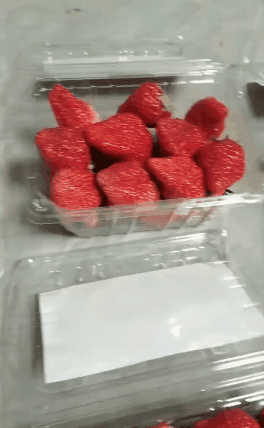 温室种植花的创业计划书_温室种植致富新闻_湖州市温室甲鱼致富