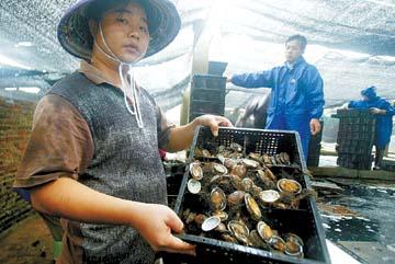 养殖致富项目 家庭_家庭养殖致富小项目_致富养殖业