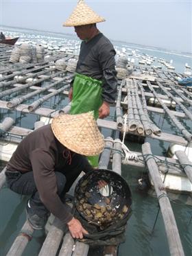 致富养殖业_家庭养殖致富小项目_养殖致富项目 家庭