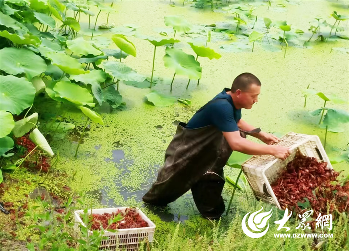 养殖水产健康技术规范_水产健康养殖技术_养殖水产健康技术论文