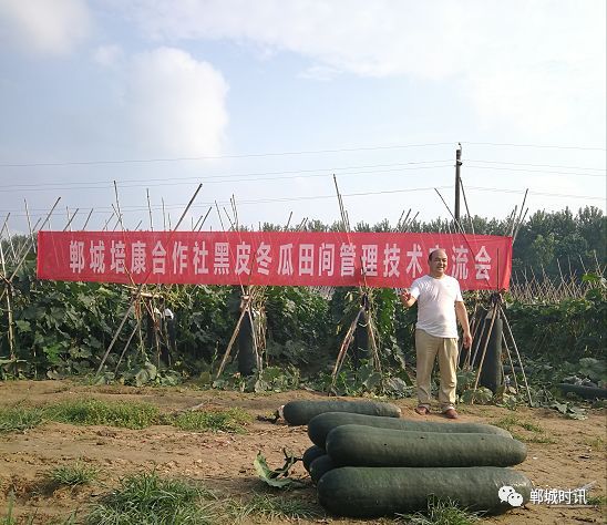 三农致富经_致富三农种植_三农种植致富技术