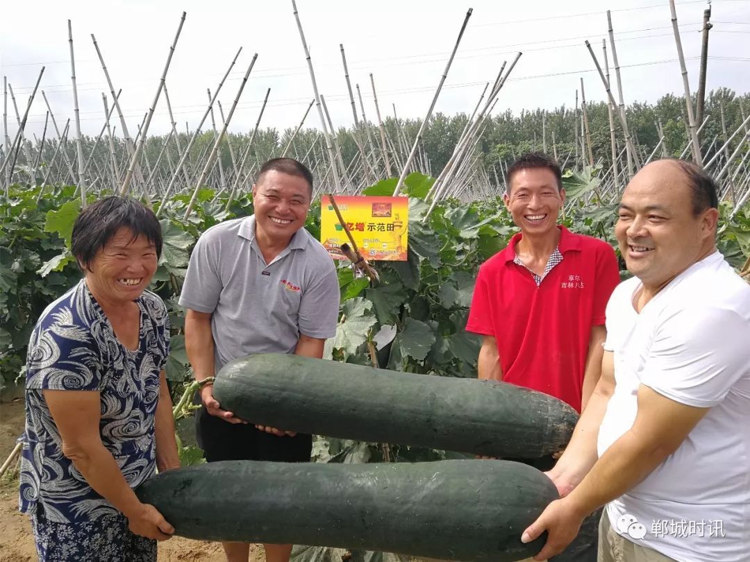 致富三农种植_三农致富经_三农种植致富技术