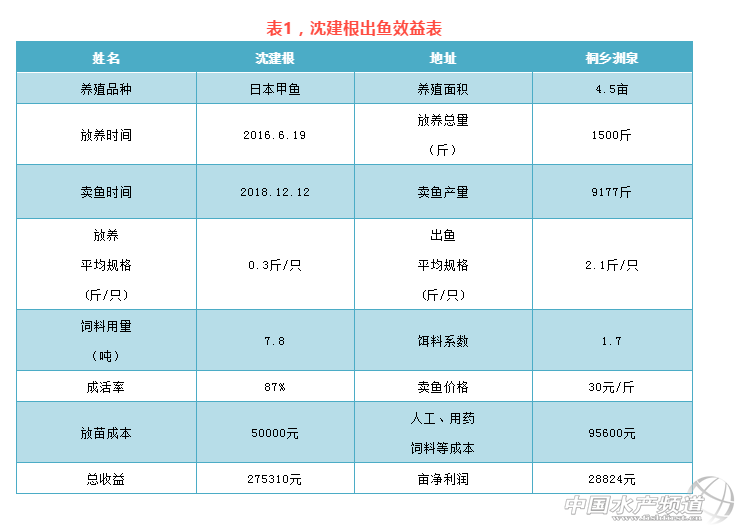 养殖甲鱼技术及利润分析_养殖甲鱼利润怎么样_养甲鱼利润和纯收入是多少