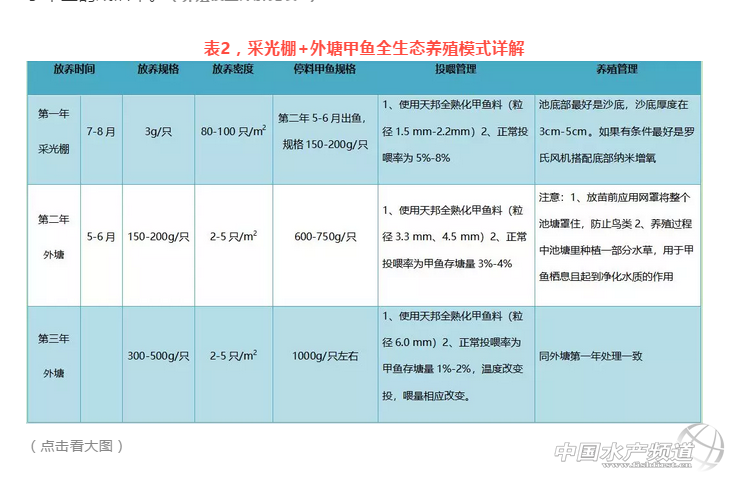 养甲鱼利润和纯收入是多少_养殖甲鱼技术及利润分析_养殖甲鱼利润怎么样