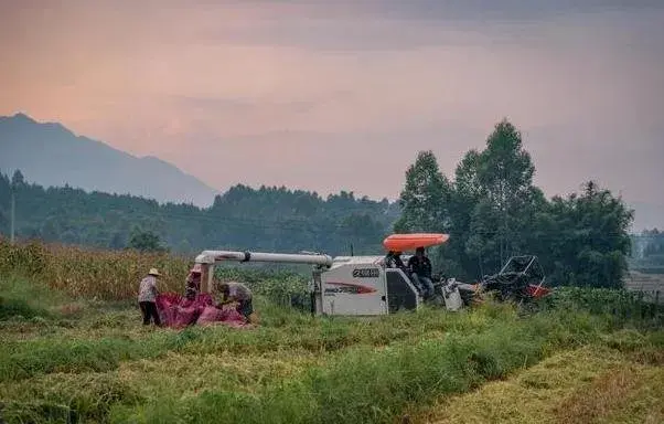 优质问题及经验_经验优秀_经验的问题