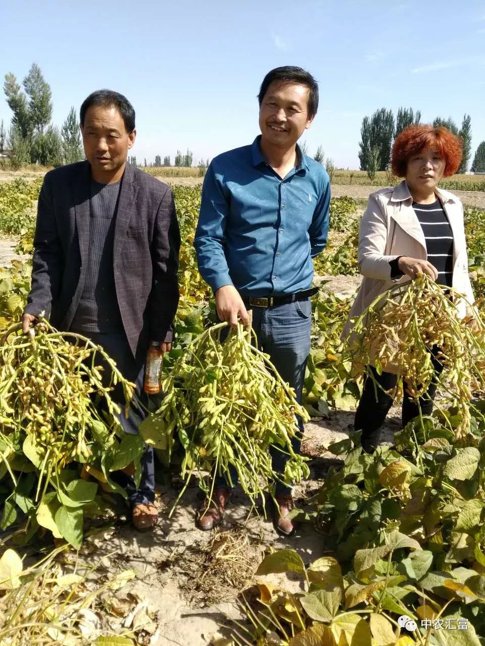 种植致富模式_致富种植视频全集_种植致富业