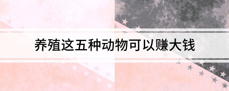 养殖这五种动物可以赚大钱