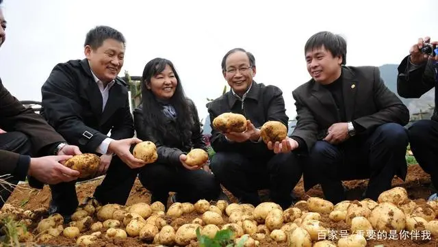 最新土豆种植技术视频_土豆高产栽培技术视频_高产土豆种植技术视频