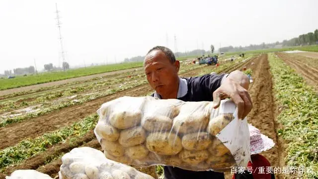 高产土豆种植技术视频_最新土豆种植技术视频_土豆高产栽培技术视频