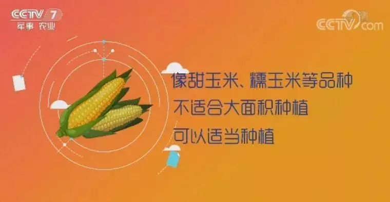 cctv7种植致富经_致富种植专业合作社_致富种植创业项目