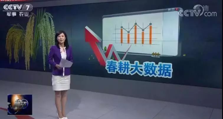 致富种植创业项目_cctv7种植致富经_致富种植专业合作社