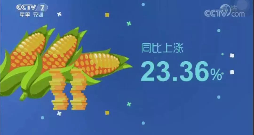 cctv7种植致富经_致富种植创业项目_致富种植专业合作社