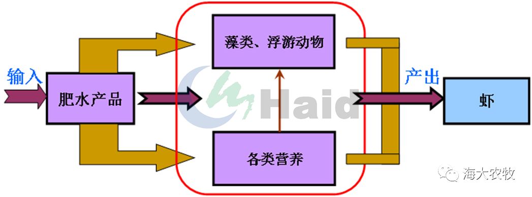 对虾养殖的技术_对虾养殖技术问答大全_对虾养殖流程