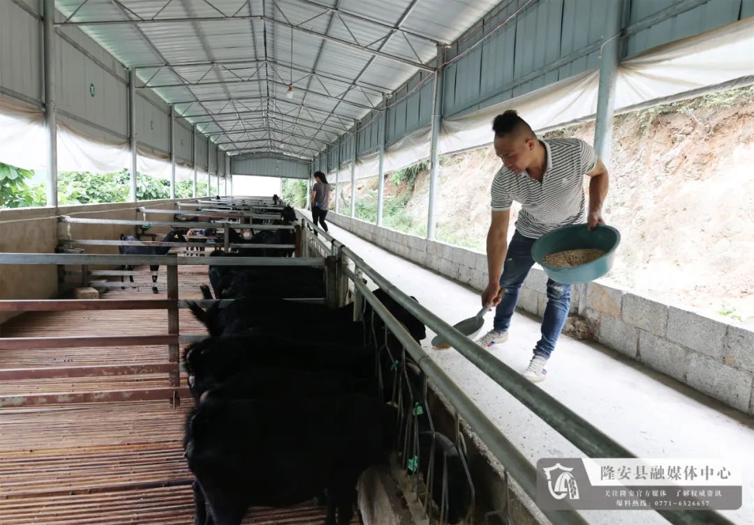 致富养殖户做法经验总结_致富养殖业_养殖户致富的经验做法