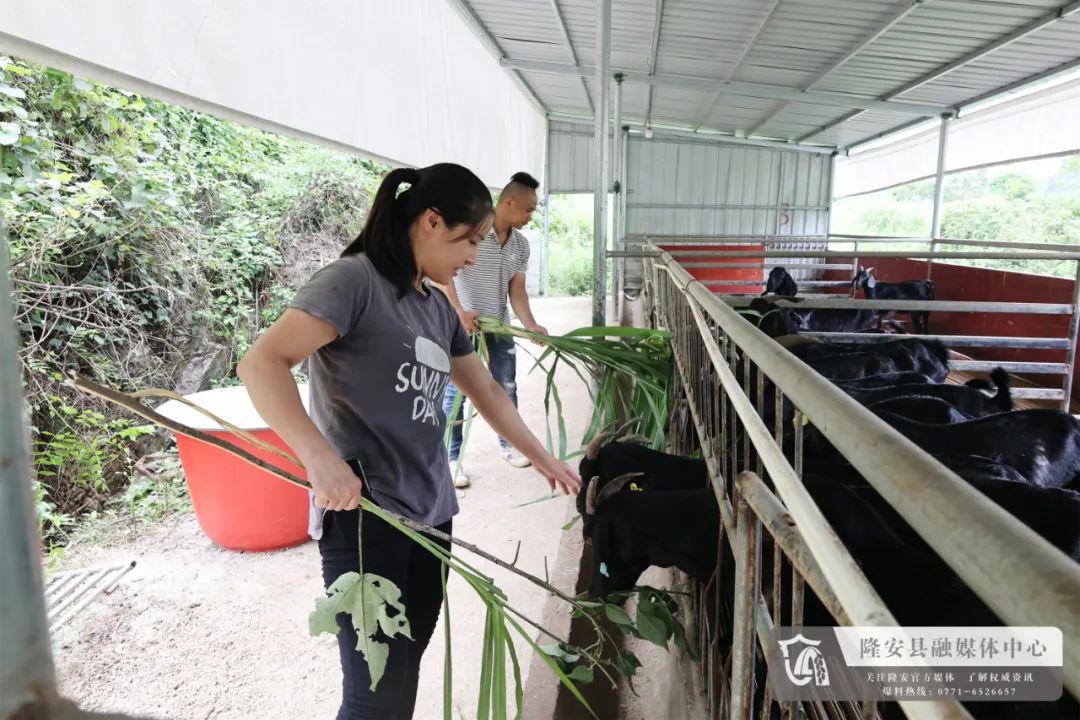 致富养殖户做法经验总结_致富养殖业_养殖户致富的经验做法