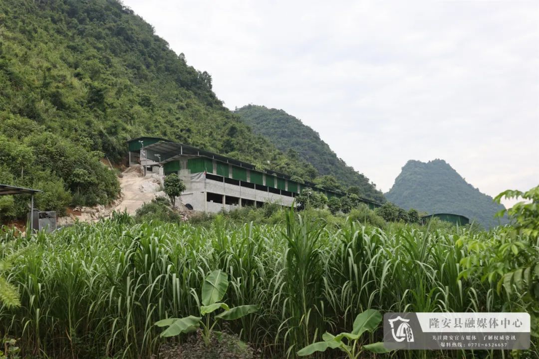 致富养殖户做法经验总结_致富养殖业_养殖户致富的经验做法