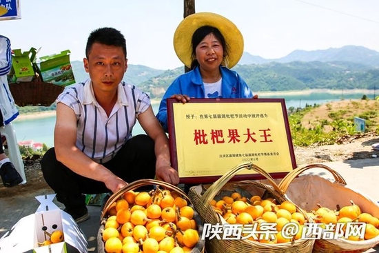 种植果枇杷技术要求_枇杷果怎么种植技术_种植果枇杷技术要点